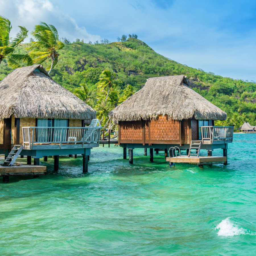 UMB Club Image 2 (8)